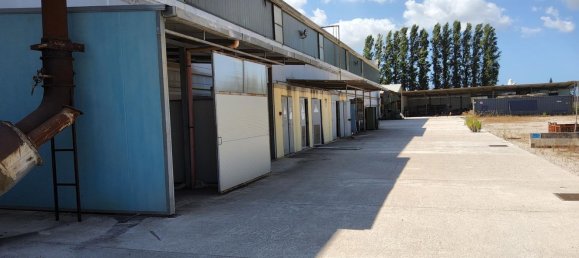  مستودع في Latina, Italy 5280متر مربع رقم 203009 41