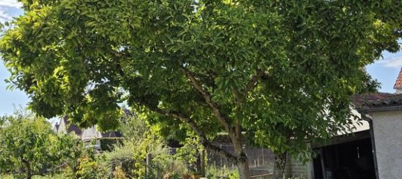 Casa T3 em Saint-Laurent-Nouan, France N.º 332964 9