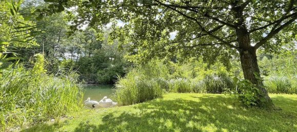 Дом с 15 комнатами в Филлах, Австрия № 192696 8