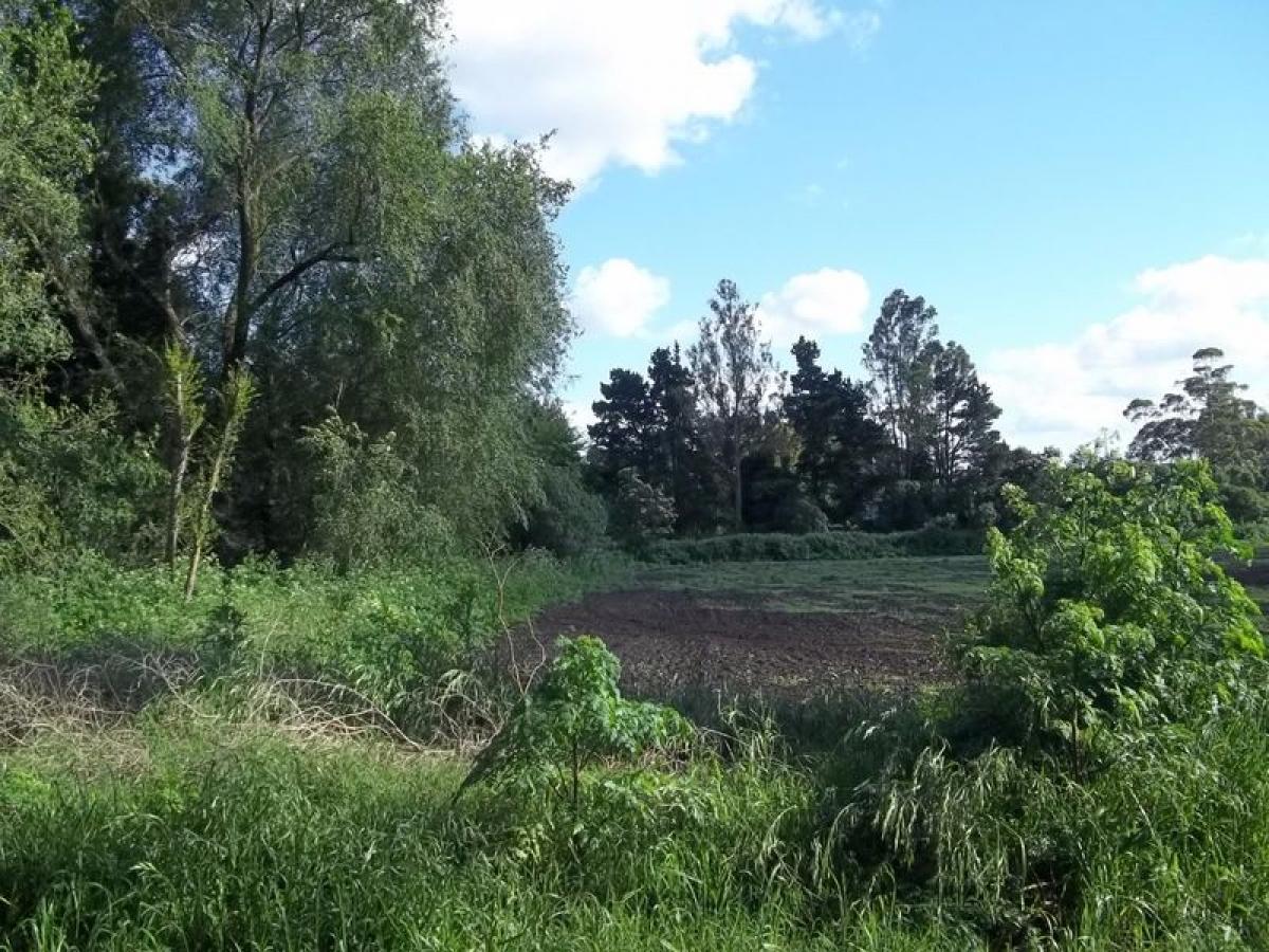  Land in General Pueyrredon, Argentina No. 34023