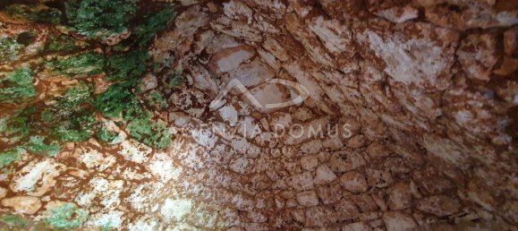 Estudio en Alliste, Italy No. 108964 10