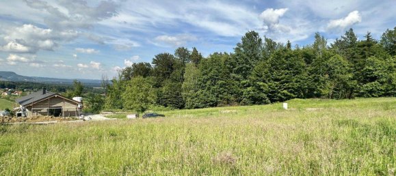 Land in Tillmitsch, Austria No. 56372 5