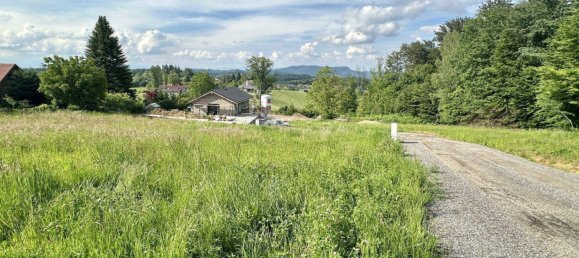 Land in Tillmitsch, Austria No. 56372 2