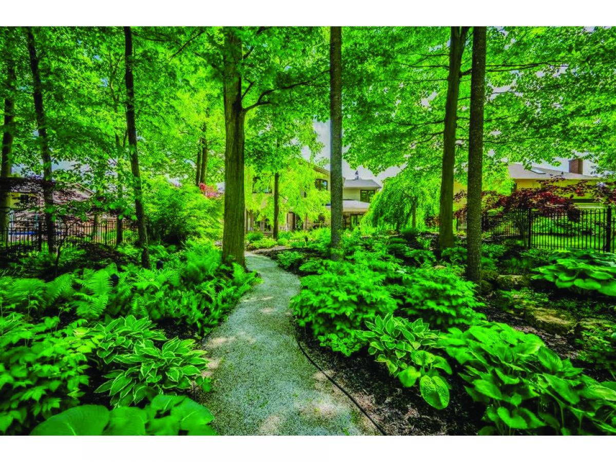 3 bedrooms House in Cambridge, Canada No. 460