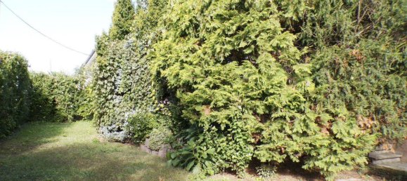 6 rooms House in Vienna, Austria No. 113906 4