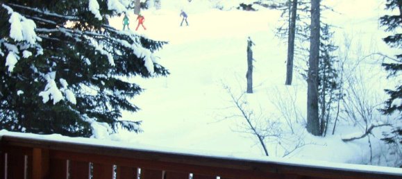 Дом с 4 комнатами в Райхенау, Австрия № 247379 36