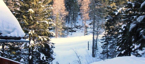 Дом с 4 комнатами в Райхенау, Австрия № 247379 9