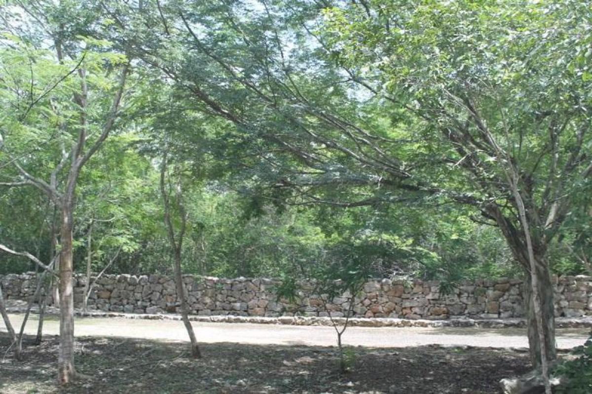 Terrain à Merida, Mexico No. 116709