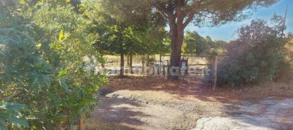 5 rooms House in Anguillara Sabazia, Italy No. 345876 12