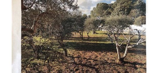 5 rooms Villa in Putignano, Italy No. 254387 7