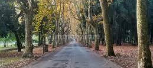 3 bedrooms Apartment in Viareggio, Italy No. 42910 20