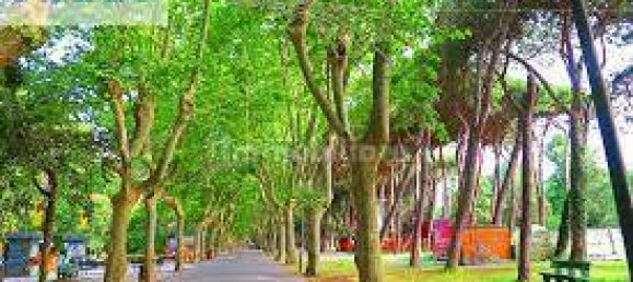 3 bedrooms Apartment in Viareggio, Italy No. 42910 15