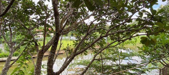 5 bedrooms Cafe / restaurant in Chiang Mai, Thailand No. 23321 10