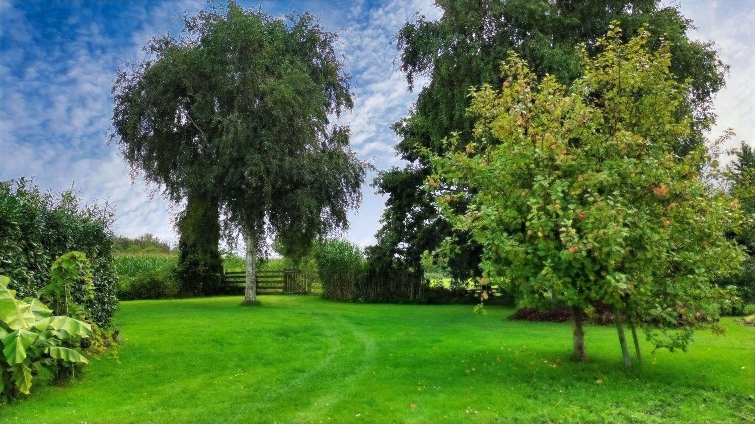 Дом с 3 комнатами в Штаде, Германия № 180462