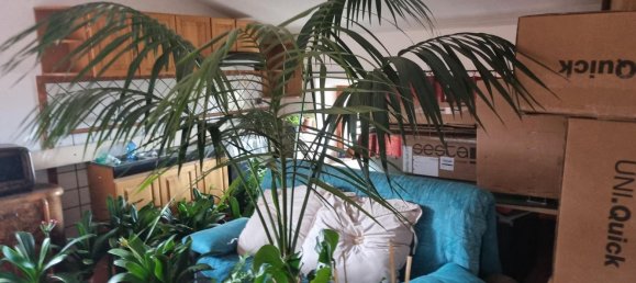 15 bedrooms Villa in Spoleto, Italy No. 364709 32