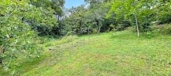 Terrain à Thonon-les-Bains, France 504m² No. 185044 4