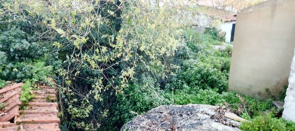 2 Schlafzimmer Haus in Sintra, Portugal, Nr. 45700 9