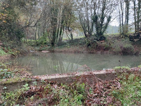 1 chambre Maison à Ponte de Lima, Portugal No. 88089