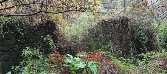 1 chambre Maison à Ponte de Lima, Portugal No. 88089 5