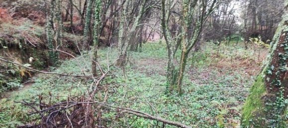 1 chambre Maison à Ponte de Lima, Portugal No. 88089 8