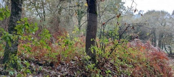 1 chambre Maison à Ponte de Lima, Portugal No. 88089 10