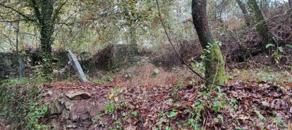 1 chambre Maison à Ponte de Lima, Portugal No. 88089 4