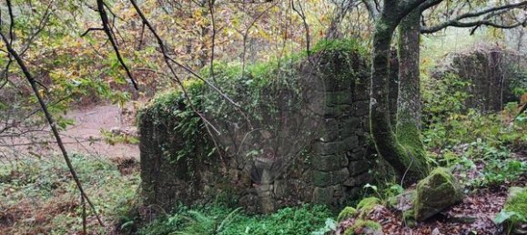 1 chambre Maison à Ponte de Lima, Portugal No. 88089 13