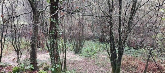 1 chambre Maison à Ponte de Lima, Portugal No. 88089 2