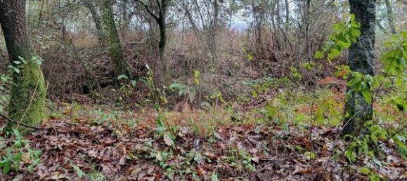 1 chambre Maison à Ponte de Lima, Portugal No. 88089 3