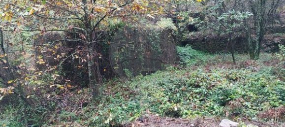 1 chambre Maison à Ponte de Lima, Portugal No. 88089 11