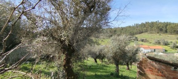 6 bedrooms House in Gaviao, Portugal No. 20218 8