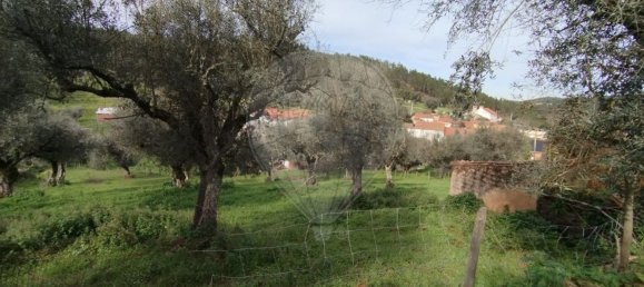 6 bedrooms House in Gaviao, Portugal No. 20218 6