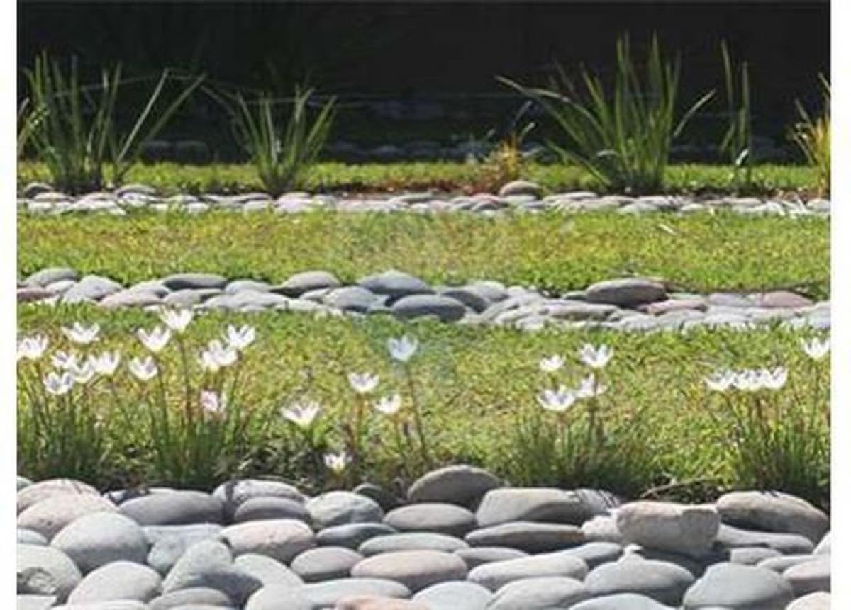  Land in San Vicente, Argentina No. 42343