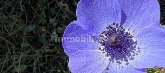 8 bedrooms House in Monte Castello di Vibio, Italy No. 67813 4