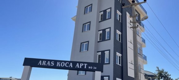 Apartment 1+1 in Avsallar, Turkey No. 31601 4