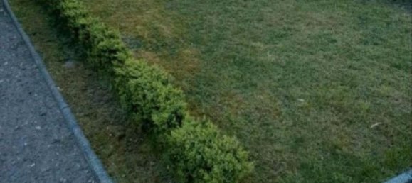 2 غرف نوم شقة في Ingolstadt, Germany رقم 336359 3