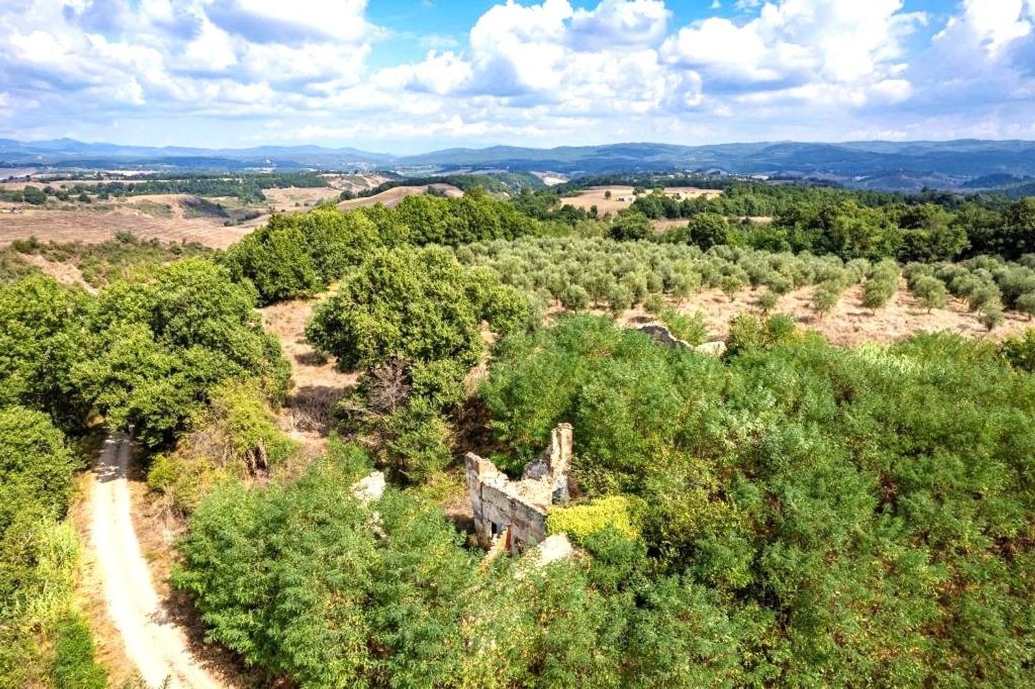 10 rooms House in Asciano, Italy No. 54148