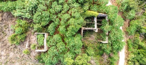 10 rooms House in Asciano, Italy No. 54148 4