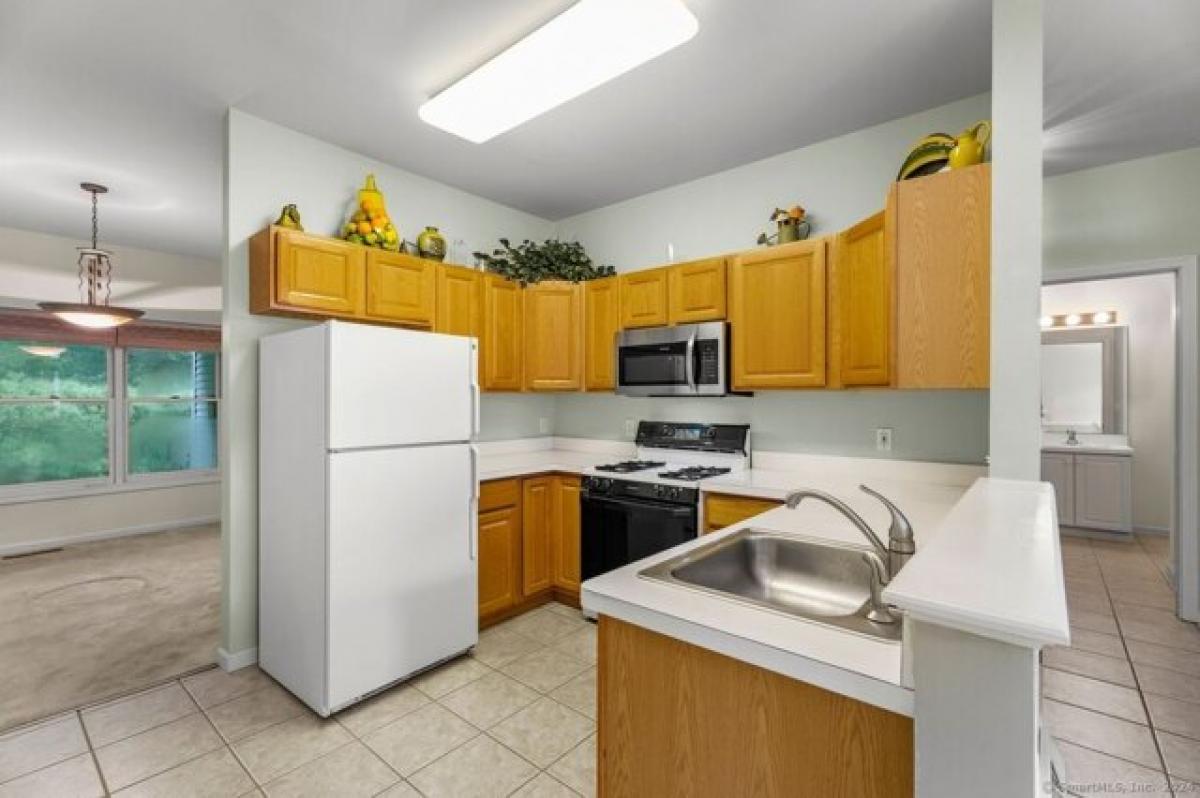 2 bedrooms House in Shelton, USA No. 371317