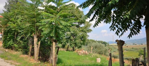 Земельный участок 32000м² в Кастильоне дель Лаго, Италия № 126217 2