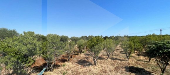 Villa de 3 habitaciónes en Ostuni, Italy No. 22235 15
