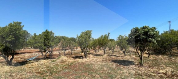 Villa de 3 habitaciónes en Ostuni, Italy No. 22235 14