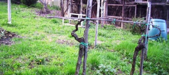 10 rooms Villa in Bucine, Italy No. 224589 18