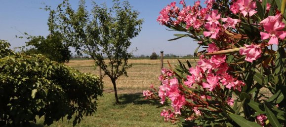 5 bedrooms Villa in Correggio, Italy No. 323411 3