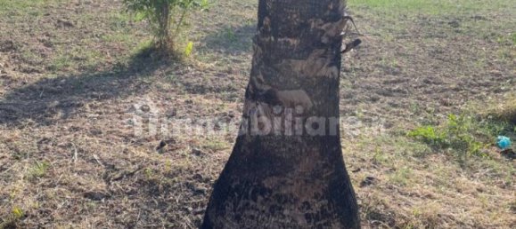 2 chambres Villa à Ispica, Italy No. 289521 10