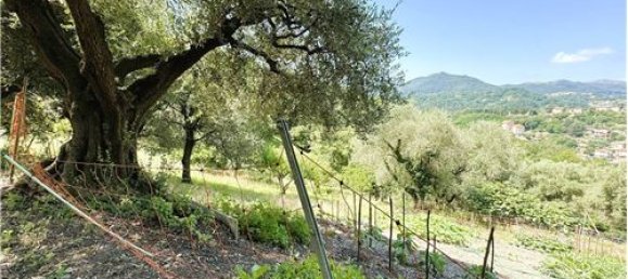 Casa de 14 divisões em Serra Riccò, Italy N.º 294255 13