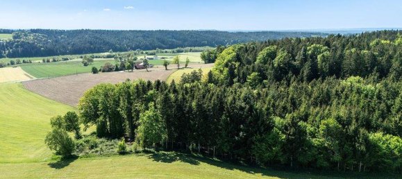 3 rooms House in Maria Schmolln, Austria No. 219542 16