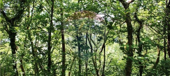 Grundstück in Vieira do Minho, Portugal 4400m², Nr. 34408 4