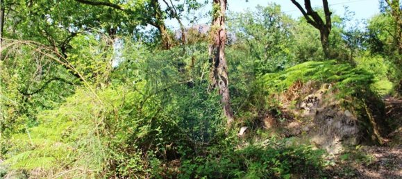 Grundstück in Vieira do Minho, Portugal 4400m², Nr. 34408 3