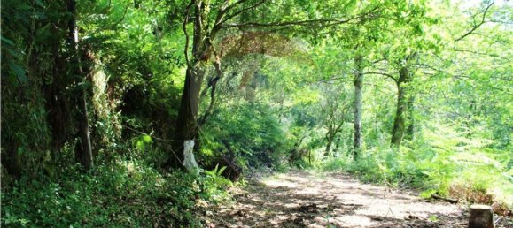 Grundstück in Vieira do Minho, Portugal 4400m², Nr. 34408 5